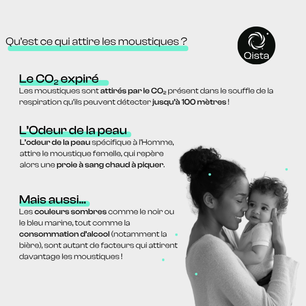 Information sur ce qui attire les moustiques chez l'être humain