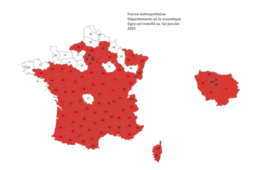 Carte de la présence du moustique tigre dans les départements de la France métropolitaine. 81 départements sur 96 sont colonisés.