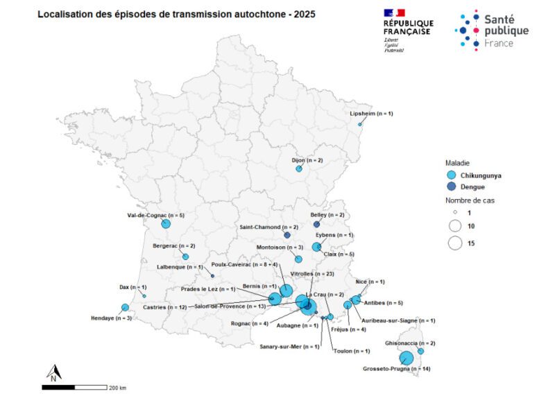 Carte des localisations des cas de chikungunya autochtones en France métropolitaine en 2025